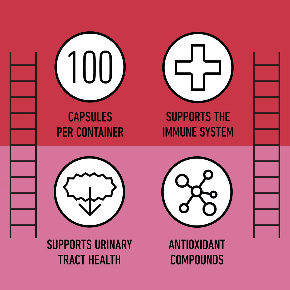 Vue latérale des capsules de cranberry bio 500mg