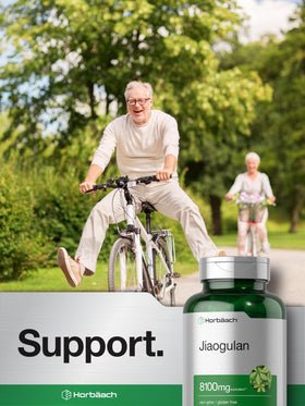 Vue latérale des capsules Jiaogulan Horbäach