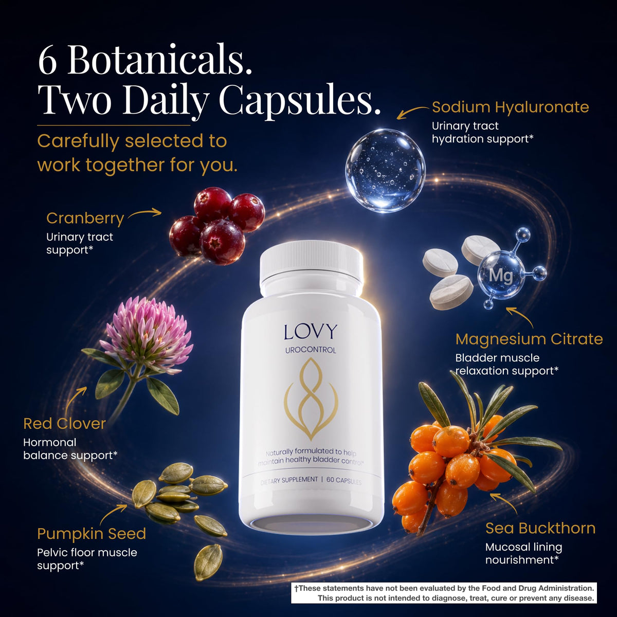 Vue latérale des capsules Lovy UROCONTROL® dans leur flacon