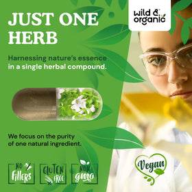 Vue latérale des capsules Wild & Organic Bacopa