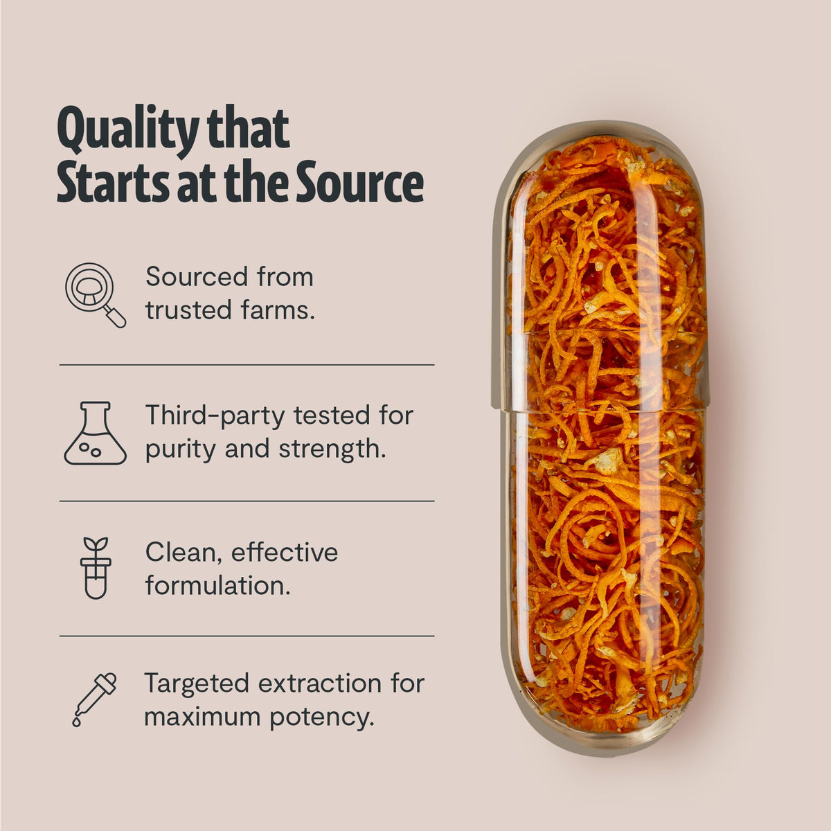 Vue latérale du flacon de capsules de cordyceps FreshCap