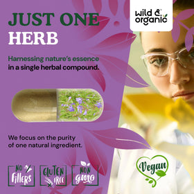 Vue latérale du flacon de capsules de scutellaire Wild & Organic