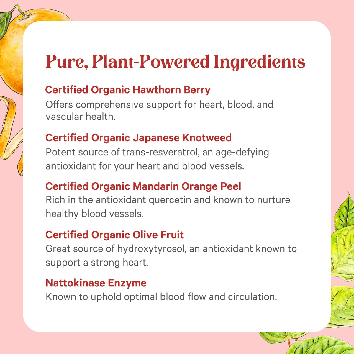 Vue latérale du flacon de PURE SYNERGY Complément Alimentaire Coeur