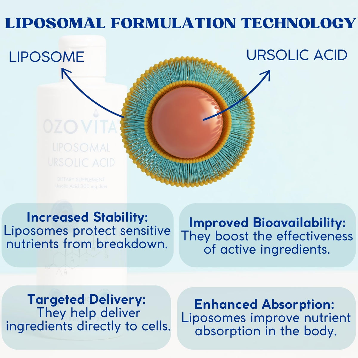 Vue latérale du flacon OZOVITA Acide Ursolique 300mg