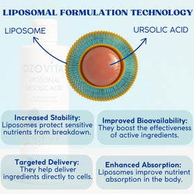 Vue latérale du flacon OZOVITA Acide Ursolique 300mg