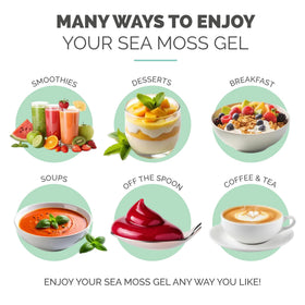Vue latérale du pot de gel de mousse marine EverSmith Organics
