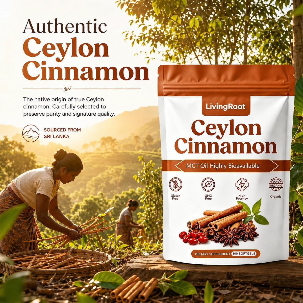 Vue latérale du sachet de Canelle de Ceylan LivingRoot