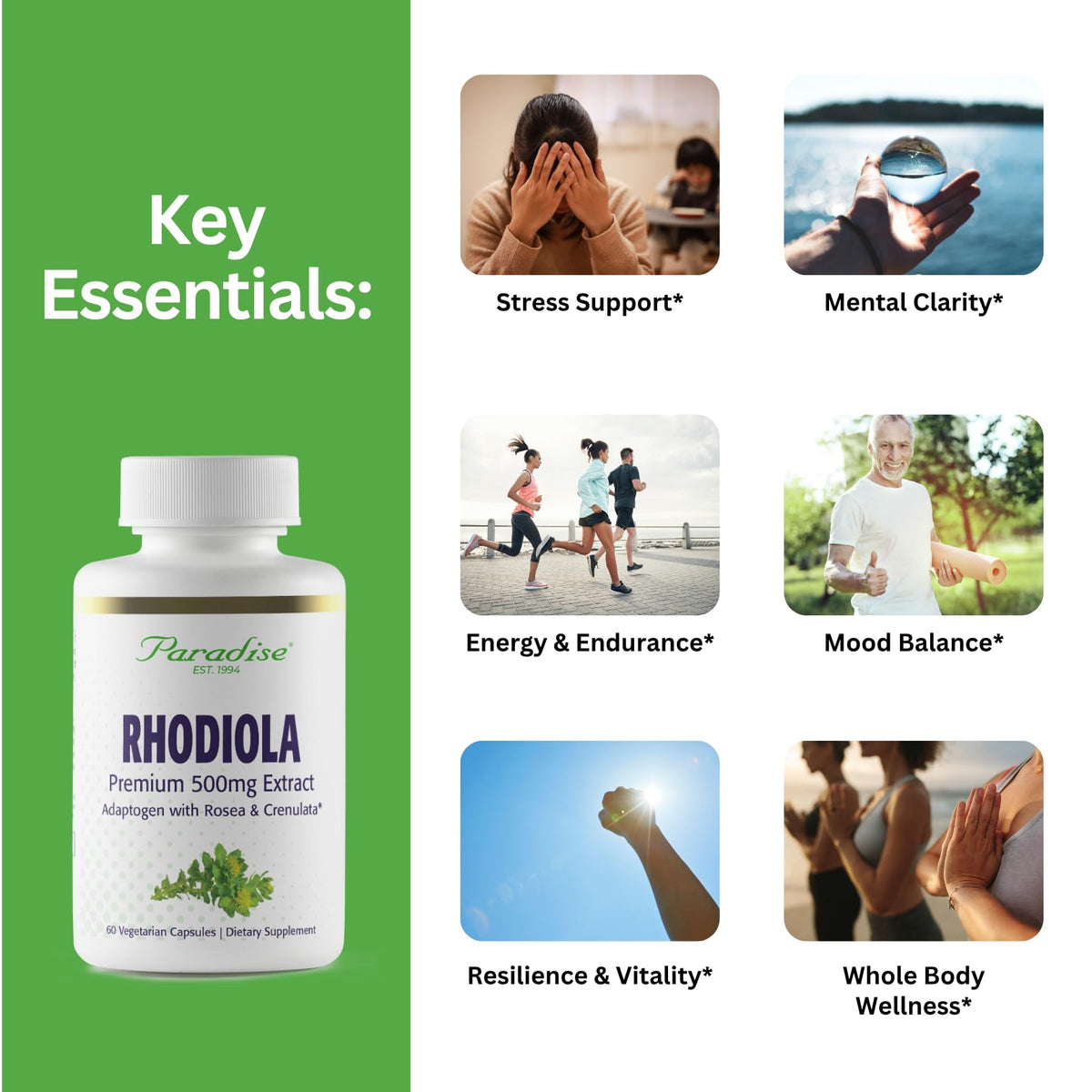 Vue rapprochée de la capsule d'extrait de Rhodiola Paradise Herbs