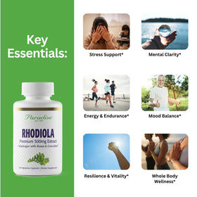 Vue rapprochée de la capsule d'extrait de Rhodiola Paradise Herbs