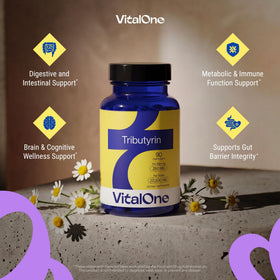 Vue rapprochée de la capsule de VitalOne Tributyrin 250 mg