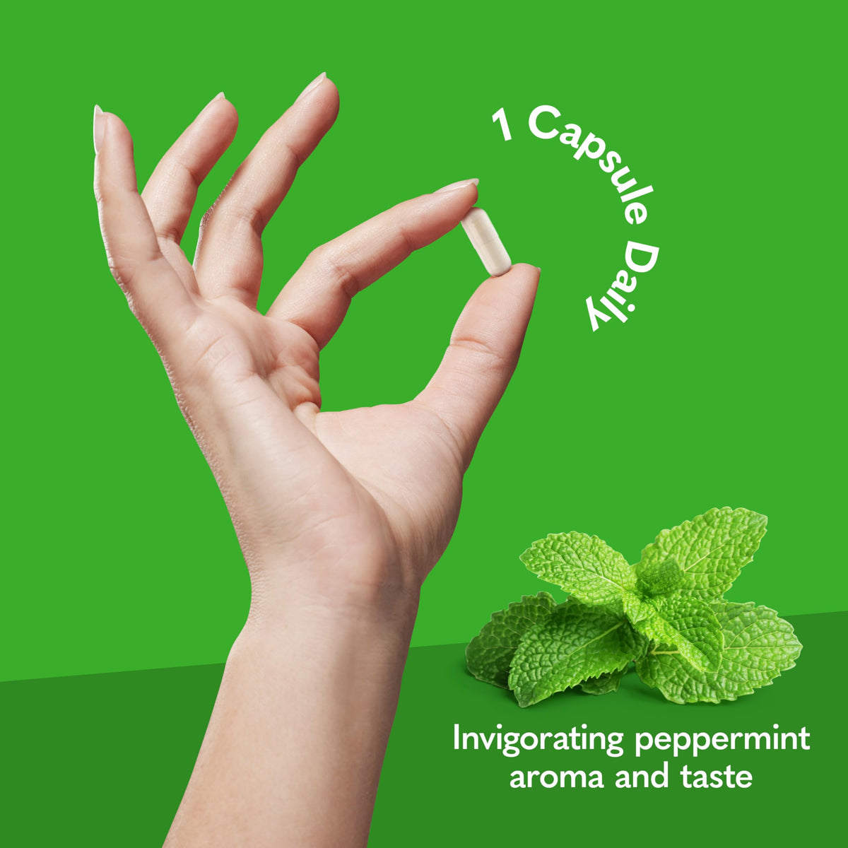 Vue rapprochée de la capsule Garden of Life Multi+ Energy Support