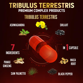 Vue rapprochée de la capsule Zolotus Tribulus Terrestris