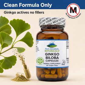 Vue rapprochée de la gélule de Ginkgo Biloba 400mg