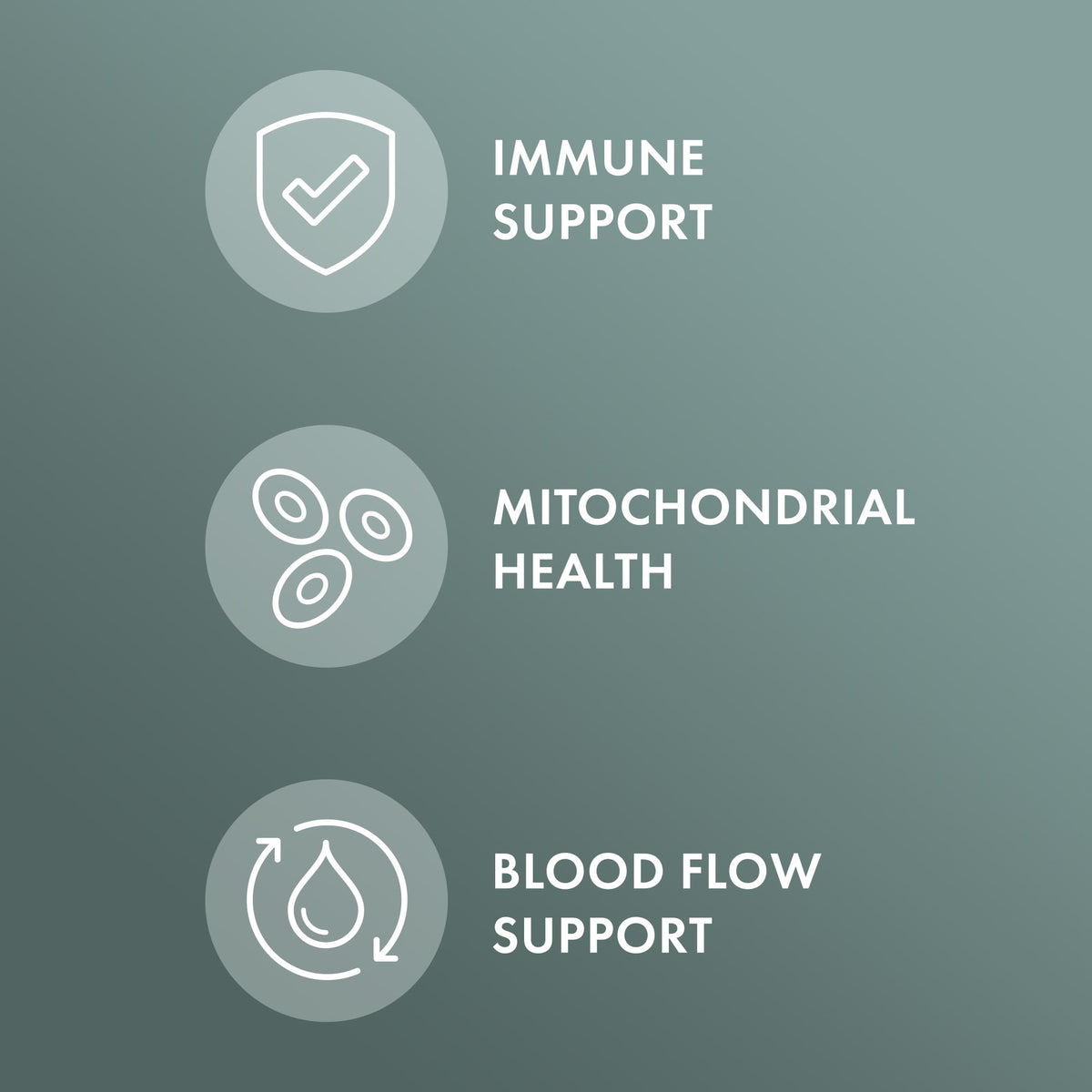 Vue rapprochée des capsules de Champignon Chaga Bio Dr. Mercola