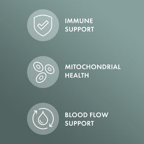 Vue rapprochée des capsules de Champignon Chaga Bio Dr. Mercola