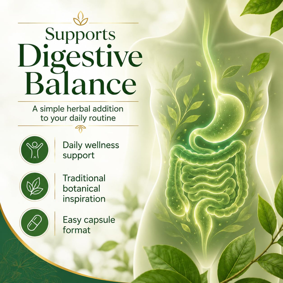 Vue rapprochée des capsules de Haritaki bio Dvloge