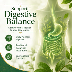 Vue rapprochée des capsules de Haritaki bio Dvloge