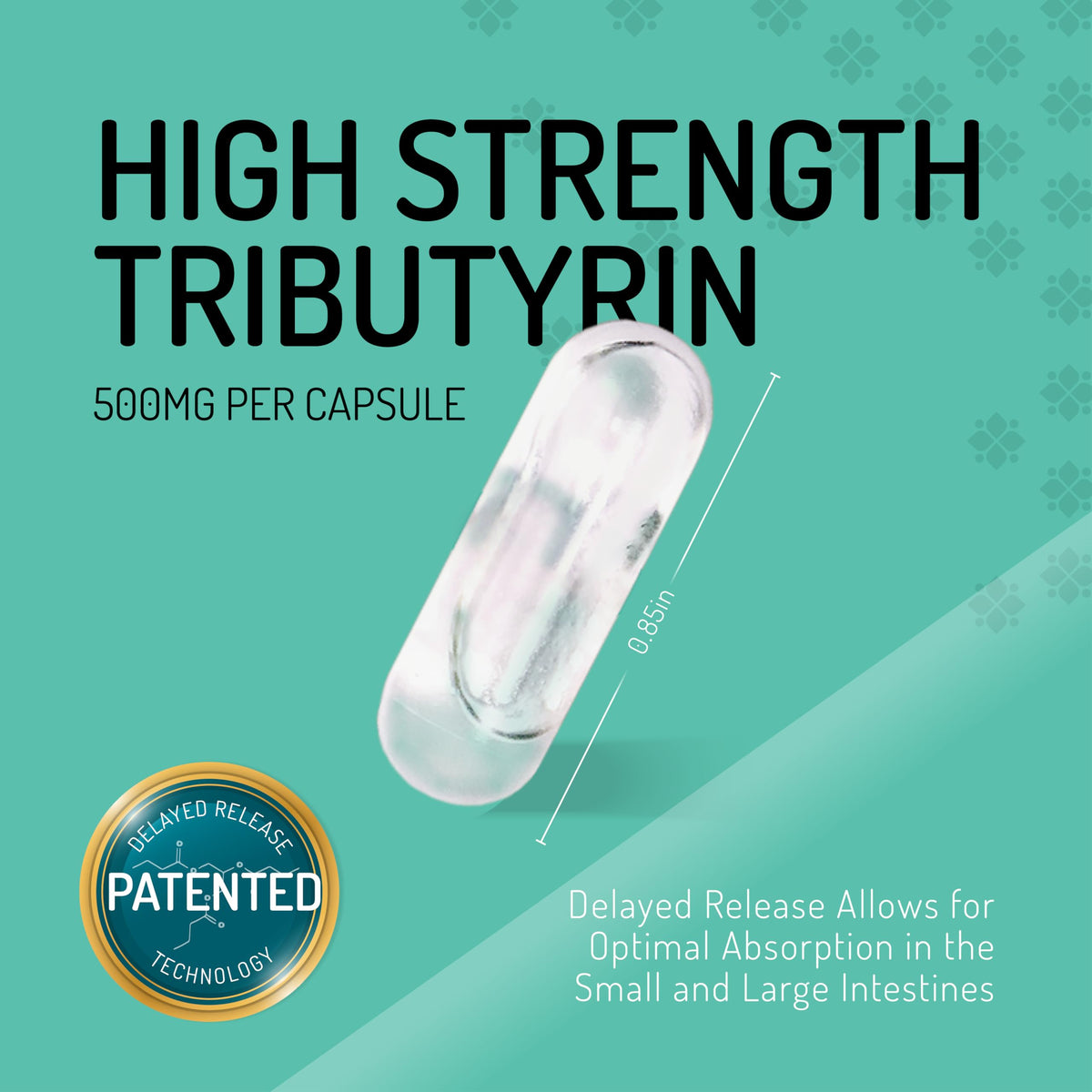 Vue rapprochée des capsules de Healus Tributyrin