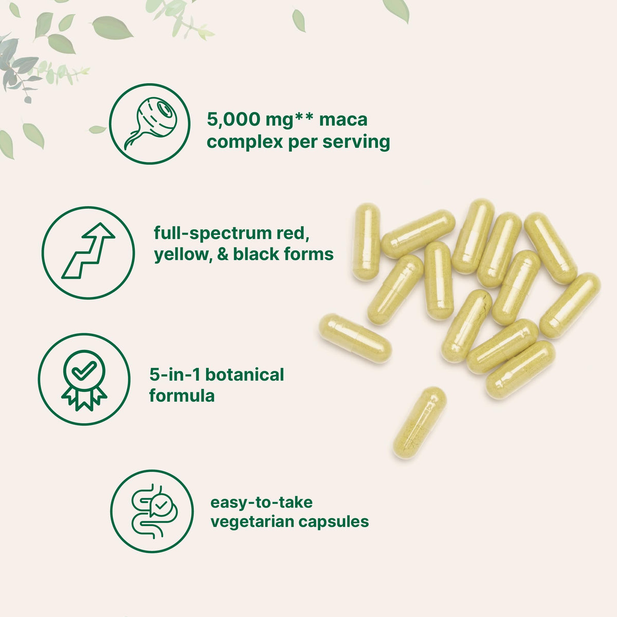 Vue rapprochée des capsules de Maca Root Micro Ingredients