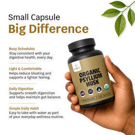 Vue rapprochée des capsules de psyllium Z Zealthy Life