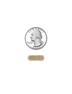 Vue rapprochée des capsules de racine de valériane STS Home