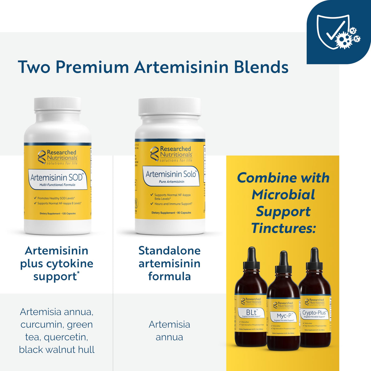 Vue rapprochée des capsules de Researched Nutritionals Artemisinin SOD