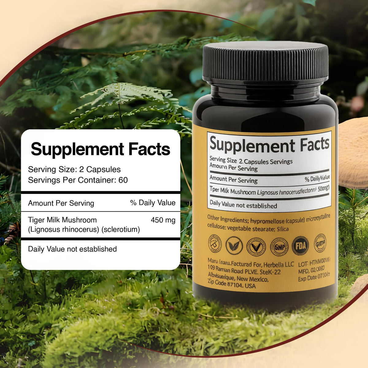 Vue rapprochée des capsules de Vitamyco Champignon Lait Tigre