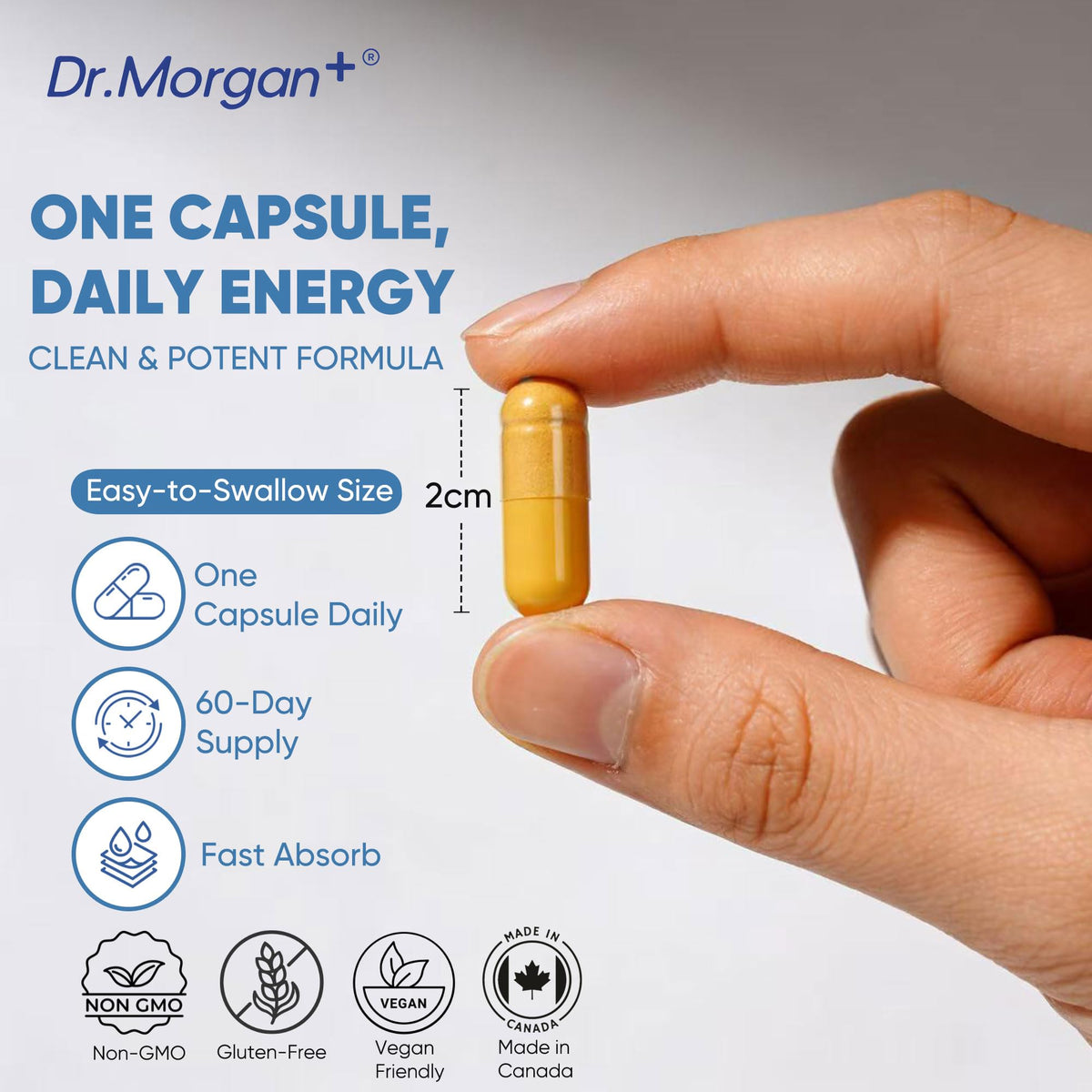 Vue rapprochée des capsules DR.MORGAN PQQ 25mg et CoQ10 100mg