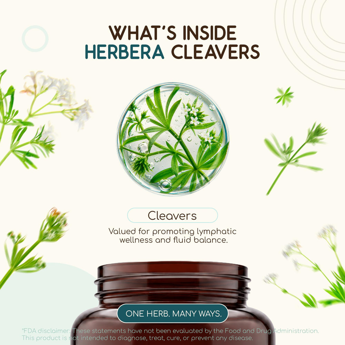 Vue rapprochée des capsules HerbEra de Cleavers
