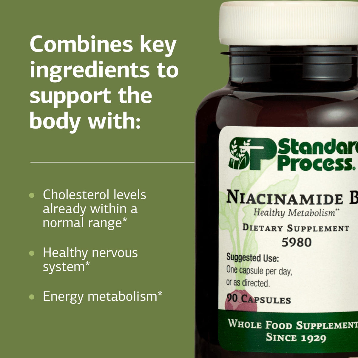 Vue rapprochée des capsules Niacinamide B6 de Standard Process