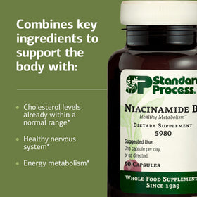 Vue rapprochée des capsules Niacinamide B6 de Standard Process