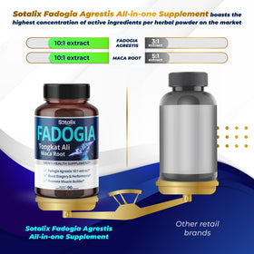 Vue rapprochée des capsules SOTALIX SUPPLEMENT Fadogia Agrestis