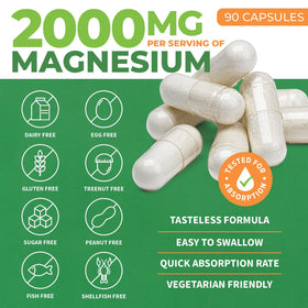 Vue rapprochée des capsules végétales ForestLeaf