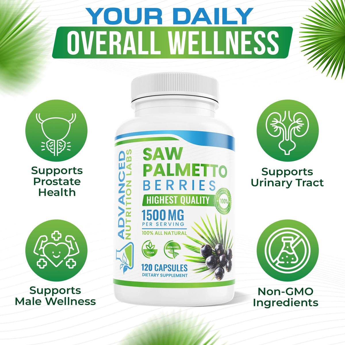 Vue rapprochée des capsules végétales Saw Palmetto 1500 mg