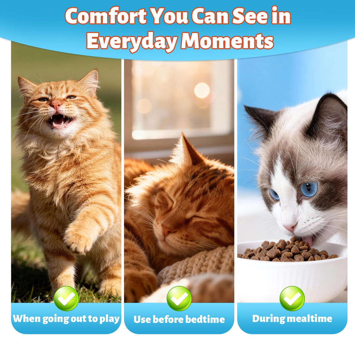 VUN L-Lysine Liquide pour Chats 150g, flacon ouvert