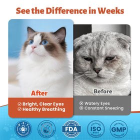 VUN L-Lysine Liquide pour Chats 150g, présentation avec chat