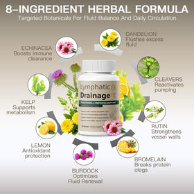 Vunexo Capsules de Drainage Lymphatique 60 capsules avec ingrédients naturels