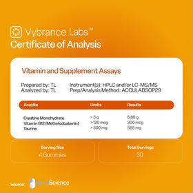 VYBRANCE LABS Gummies de Créatine Monohydrate 5g côté
