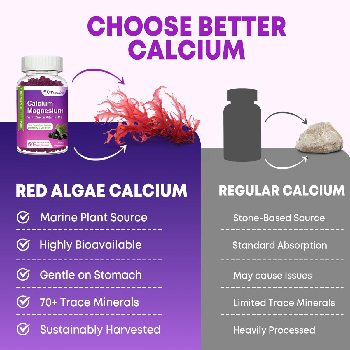 VZOXAINS Gummies Calcium Magnésium Zinc 600mg contenu avec myrtilles