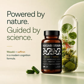 WASABI BRAIN Complément Alimentaire Mémoire 120 Capsules arrière