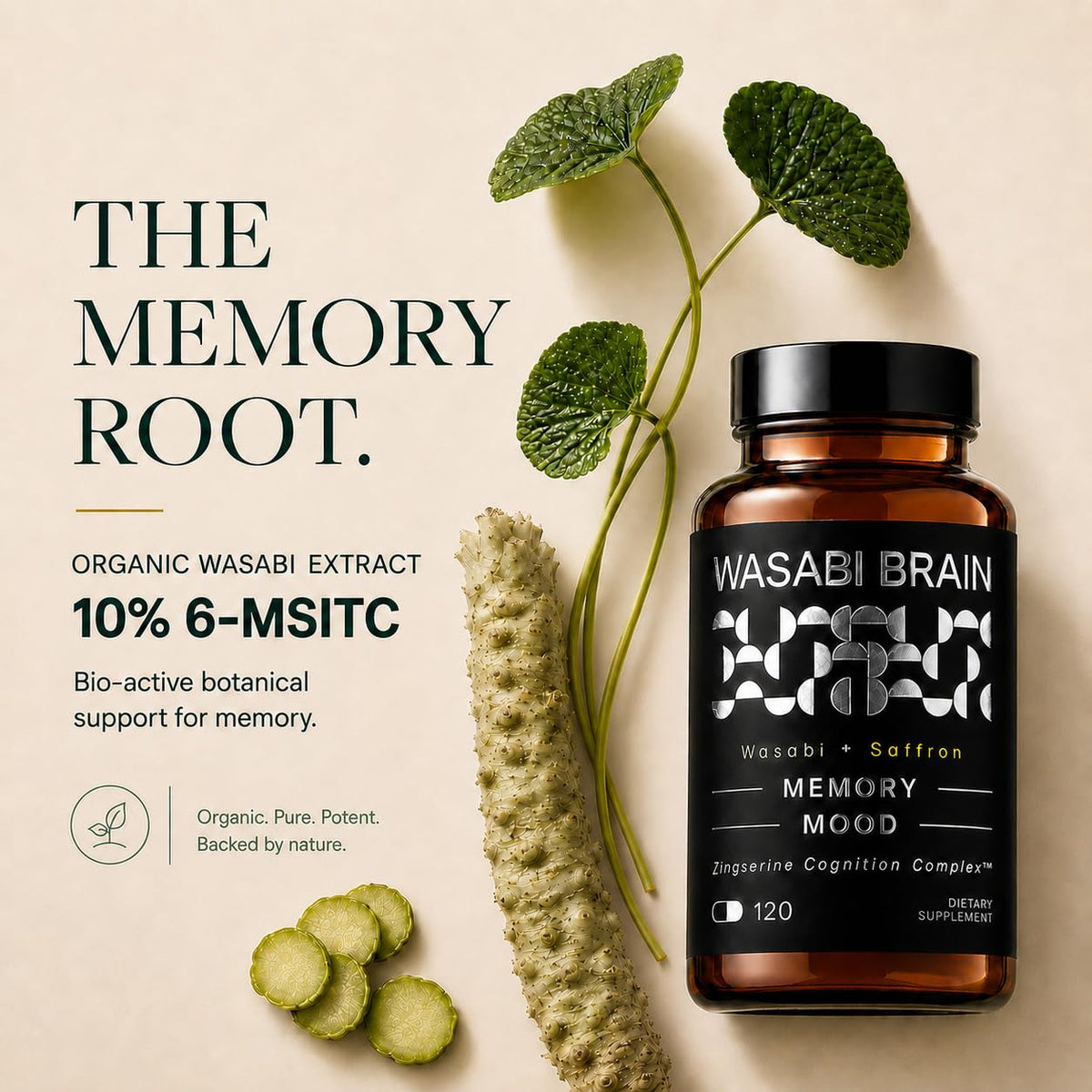 WASABI BRAIN Complément Alimentaire Mémoire 120 Capsules avec étiquette