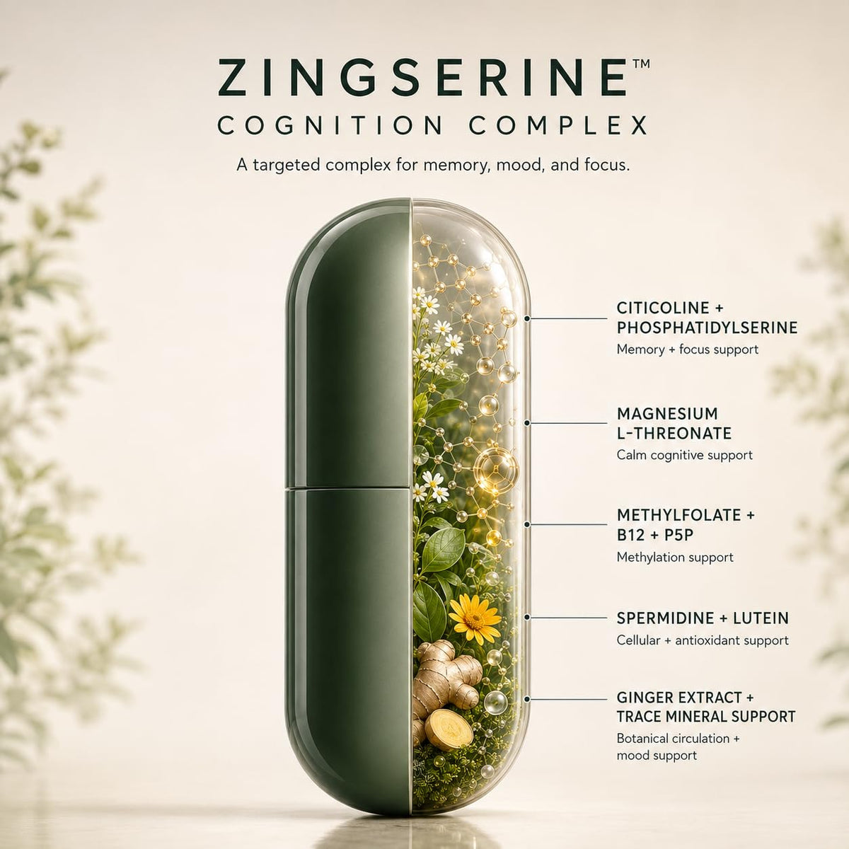 WASABI BRAIN Complément Alimentaire Mémoire avec ingrédients visibles