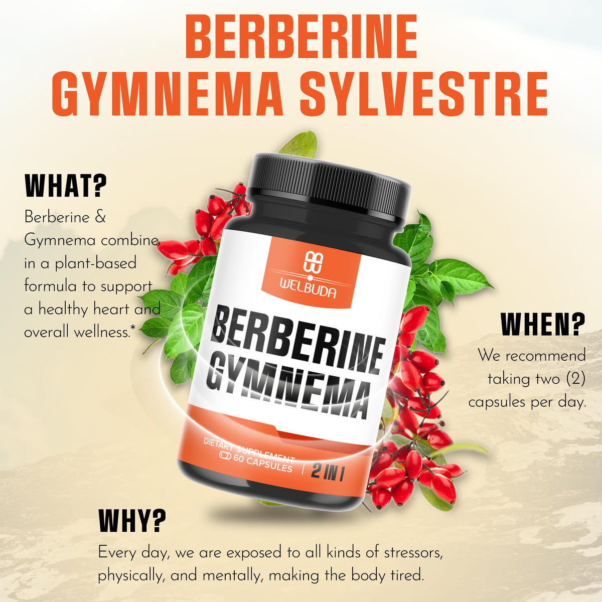 WELBUDA Complément Alimentaire Berbérine - ingrédients sur la boîte