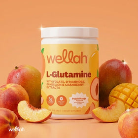 Wellah L-Glutamine Poudre 440g contenu
