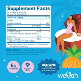 Wellah Poudre de L-Glutamine contenant 458g avec étiquette