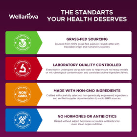 Wellanova complément alimentaire organes de bœuf 227g, capsules dans un verre