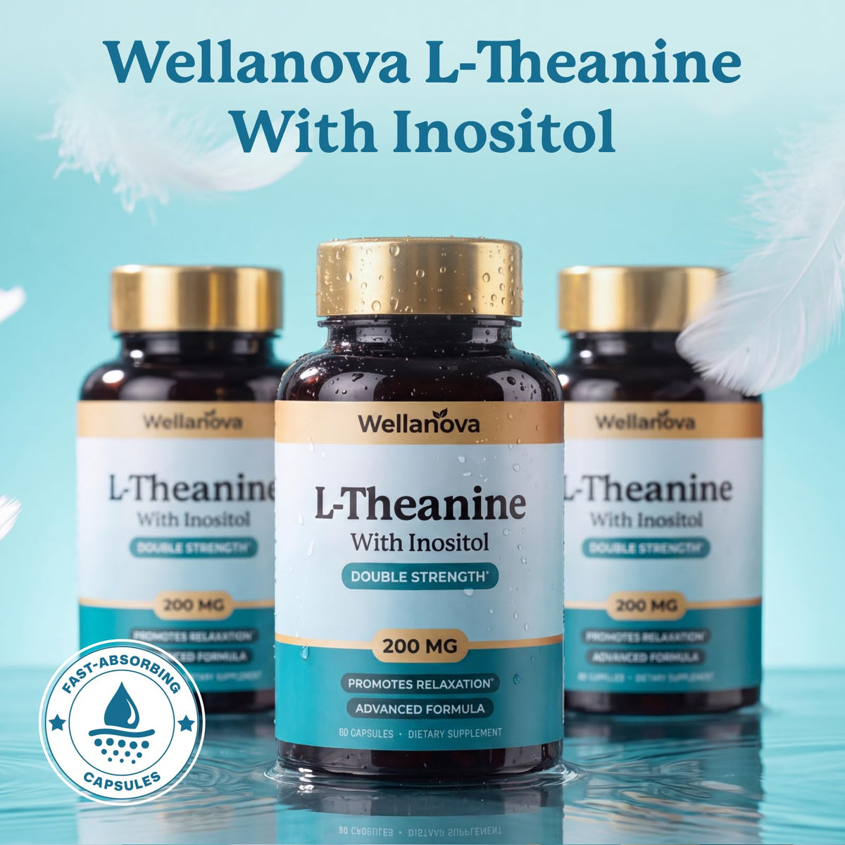 Wellanova L-Théanine 400mg avec Inositol emballage