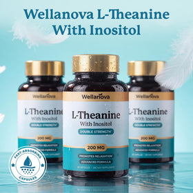 Wellanova L-Théanine 400mg avec Inositol emballage