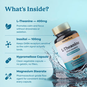 Wellanova L-Théanine 400mg dosage de 400mg par capsule
