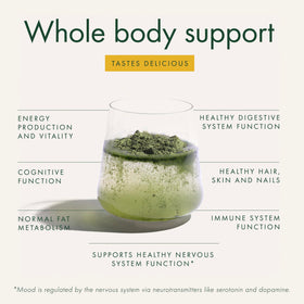 WelleCo Super Elixir Poudre de Super Greens 300g Citron & Gingembre en préparation de smoothie